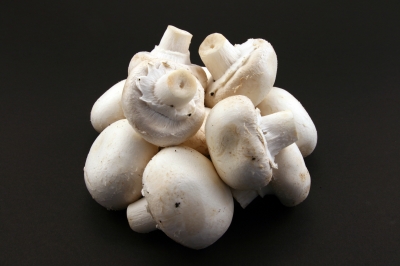  "Mushrooms" by James Barker / www.freedigitalphotos.net