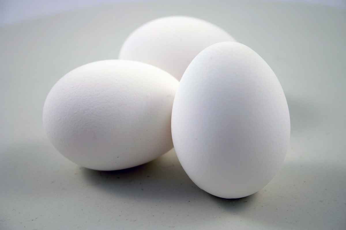 Eggs - freerangestock.com